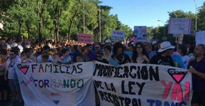 Manifestación por los derechos trans / COGAM