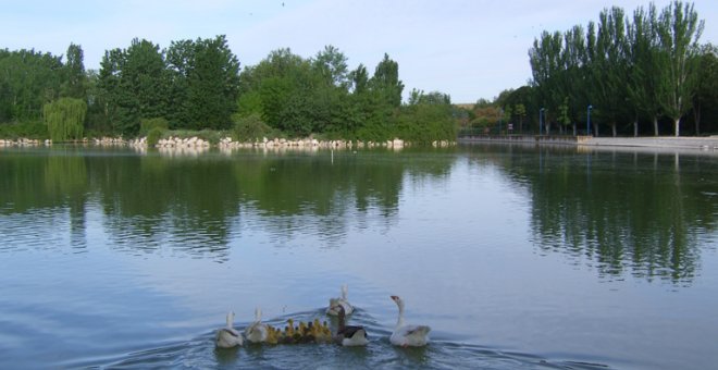 El parque de El Soto, en Móstoles