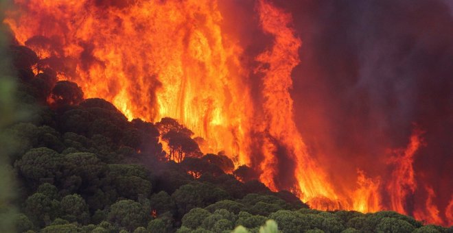 Efectivos del Plan Infoca trabajan en la extinción de un incendio declarado esta tarde en el término municipal de Nerva (Huelva). EFE/Julián Pérez