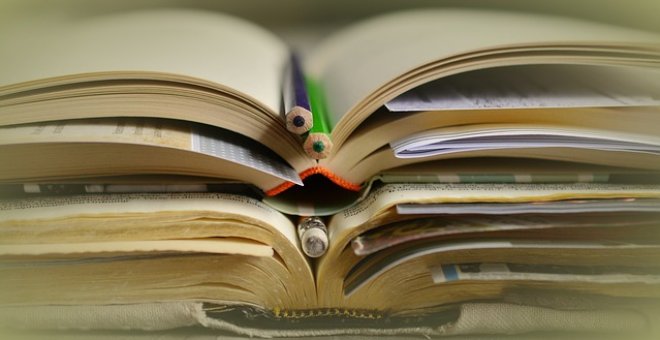 Libros y cuadernos./Pixabay