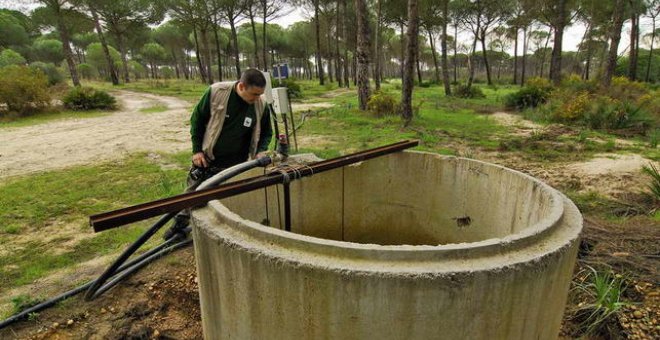 Pozo ilegal en Doñana. WWF