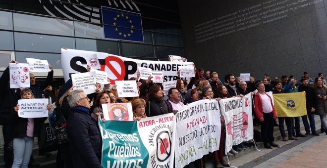 Representantes del medio centenar de entidades que han presentado la queja contra la ganadería industrial ante la UE se manifestaron ante el Parlamento Europeo.