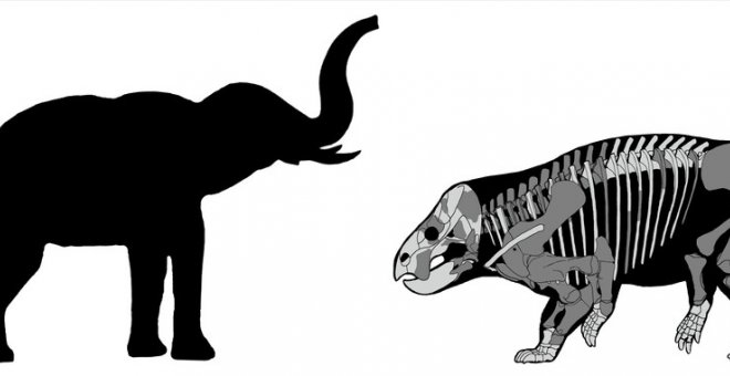 Comparación de Lisowicia bojani con un elefante reciente - Tomasz Sulej y Grzegorz Niedzwiedzki (Agencia Sinc)