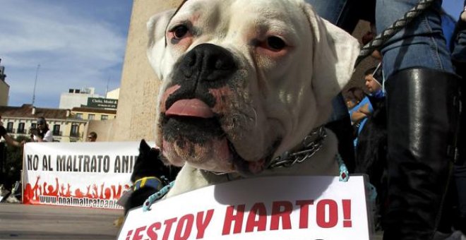 Imagen de archivo de una manifestación en contra del maltrato animal/EFE