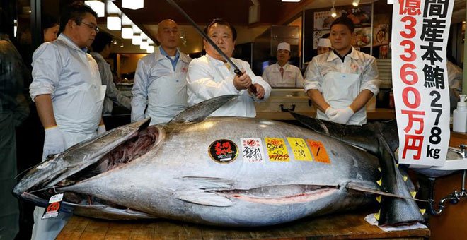 El atún rojo fue vendido por un precio récord de 2,7 millones de euros en la lonja de Tokio. / EFE