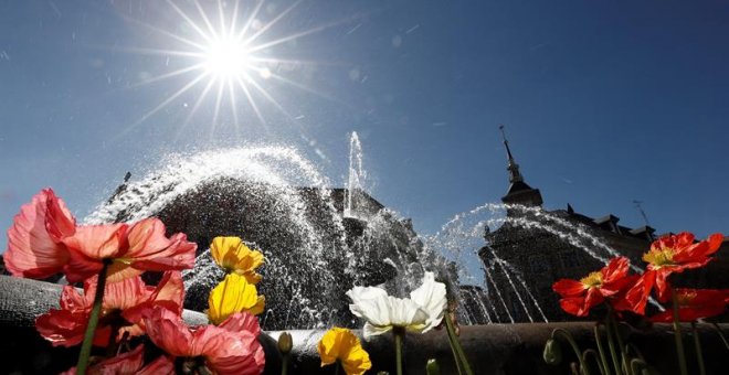 El sol ilumina varias flores en una fuente de Pamplona. EFE/Jesús Diges