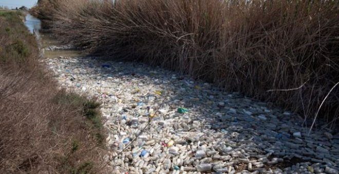 Aspecto de un tramo del río Segura lleno de botellas de plástico.