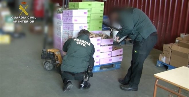 La Guardia Civil incauta 300 toneladas de alimentos y 39.000 libtros de bebidas. Guardia Civil