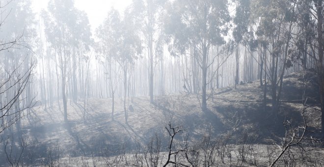 Incendio forestal en Ceuta / EUROPA PRESS