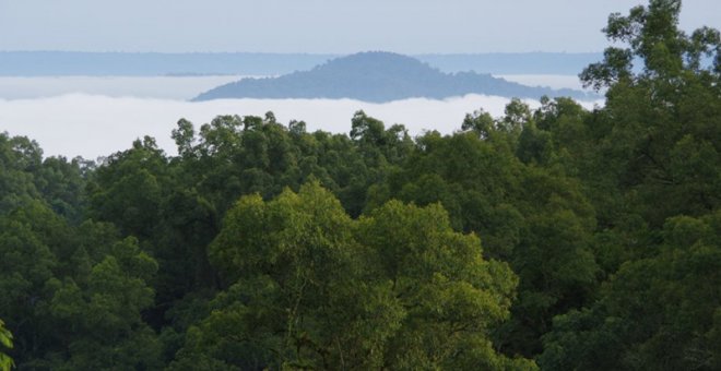 Reserva de Biosfera del Bosque de Majang en Etiopía.- UNESCO/Benno Böer