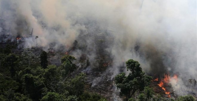 Incendio en el Amazonas / REUTERS - NACHO DOCE