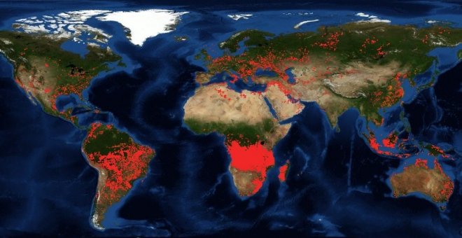 Captura de las imágenes satélite de la NASA que muestran los focos de incendios activos en el planeta. / FIRMS (NASA)