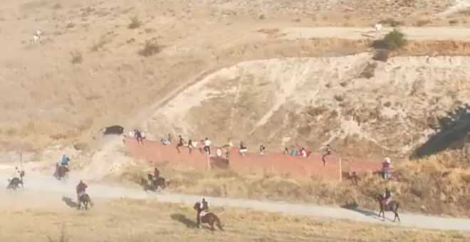 29/08/2019 - Captura del vídeo donde se muestra al toro dirigirse hacia el mundo donde se encontraba la víctima. / ELDIASEGOVIA