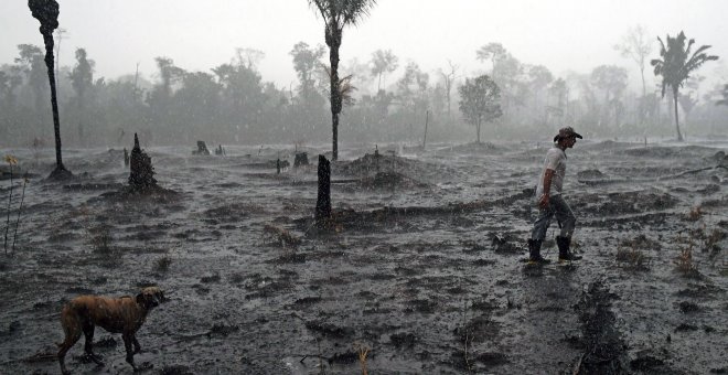 Un agricultor brasileño camina junto a su perro por el territorio quemado en el estado de Rondonia. / AFP