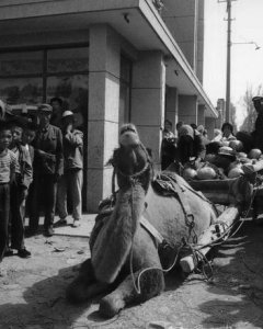 Mercado en Jiayuguang