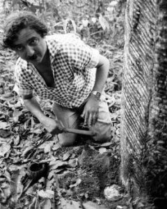 Chico Mendes, fotografiado en la Amazonía días antes e su asesinato.