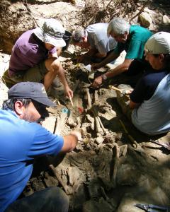 Trabajos de investigación en una fosa. Foto: Foro Cultural de la Provincia del Bierzo / Wikipedia