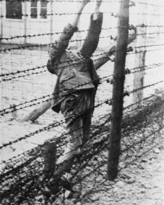 Campo de concentración de Mauthausen.- LOS ÚLTIMOS ESPAÑOLES DE MAUTHAUSEN