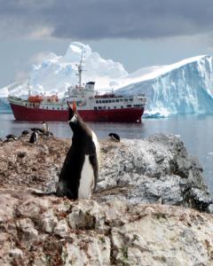 Un grupo de turistas en la Antártida. AFP