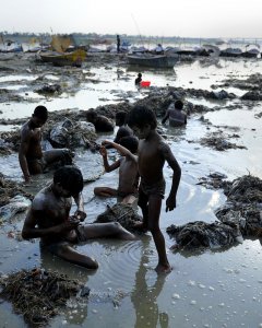 Varios hombres buscan oro y monedas en el agua contaminada del río Ganga, en Sangam. AFP