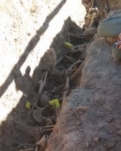 Los trabajos se reanudarán el año que viene para tratar de localizar los enterramientos de los once represaliados por los sublevados que no han sido hallados. ARICO