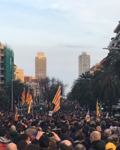 Manifestació al llarg del carrer Marina