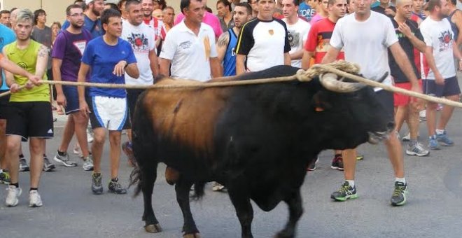 Vuit de cada deu festes de correbous quedaran afectades si s'aprova la llei que els prohibeix