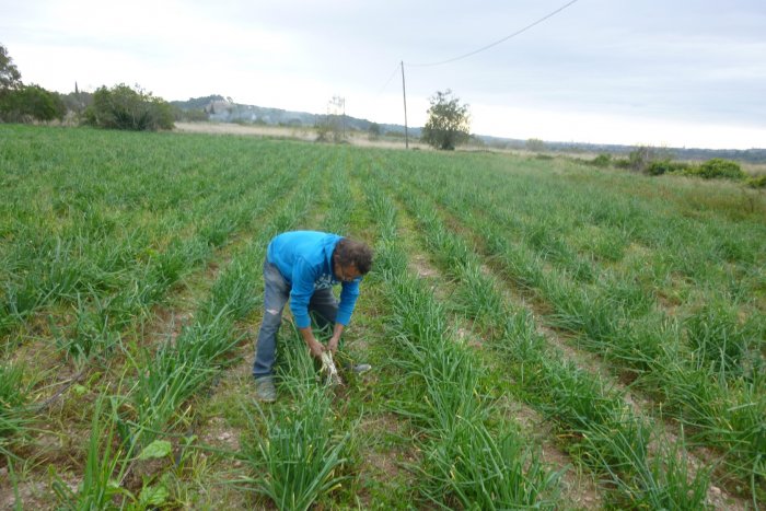 L'altra revolta pagesa catalana que opta per un canvi de l'actual model agroalimentari