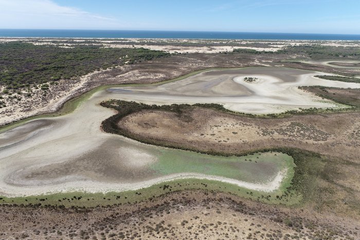 Doñana se muere: todas las masas de agua han descendido y el acuífero ha perdido tres metros de media