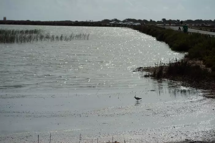 El Gobierno murciano aprueba el decreto que prorroga la moratoria urbanística en el entorno del Mar Menor