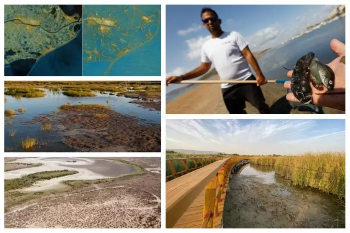 Los otros Doñana: historias de expolio de agua y vertidos