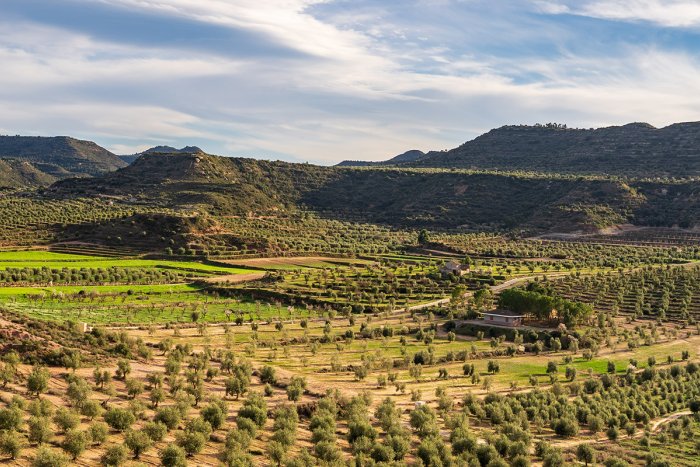 Set propostes per descobrir les Garrigues, la terra verge extra de Catalunya