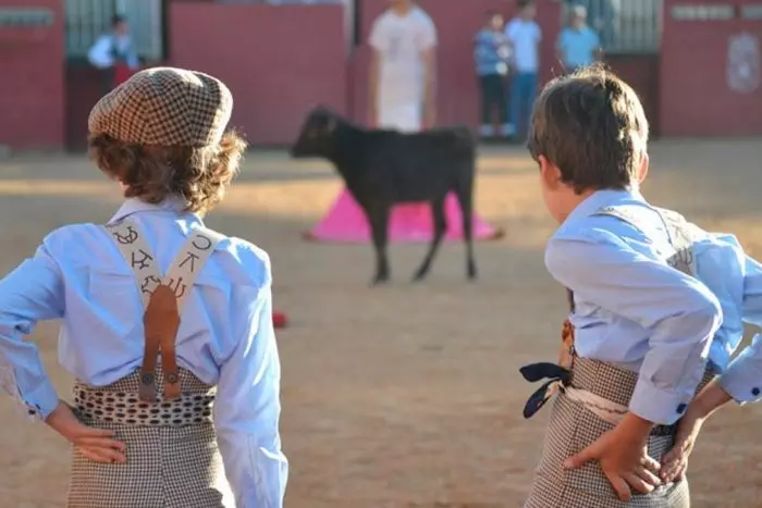 La ONU estudia cerrar la escuela taurina de Salamanca que impulsó Mañueco