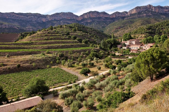 DOQ Priorat: el vi d’una orografia molt feréstega