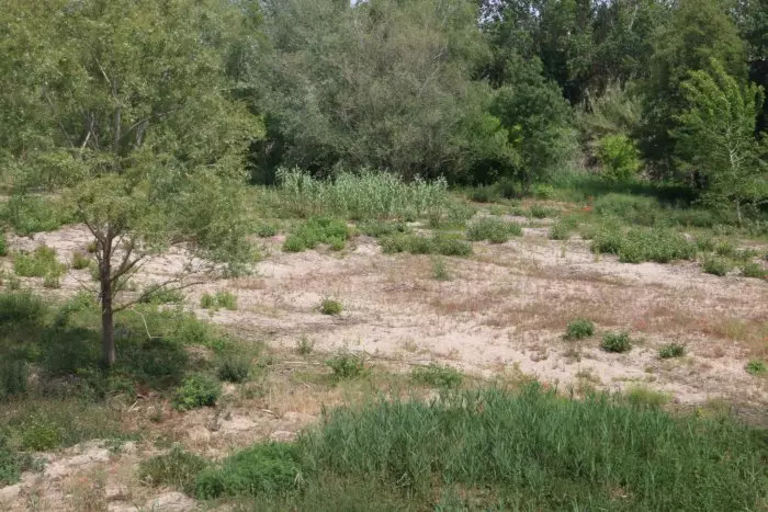 Ecologistes denuncia l'ACA per voler reduir els cabals dels rius Llobregat, Muga i Ter