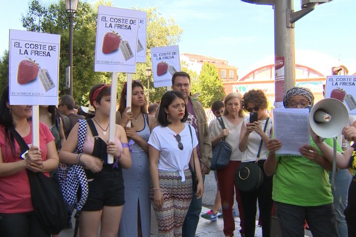 Las jornaleras de Huelva inician la temporada: accidentes laborales desatendidos y horas extra sin pagar