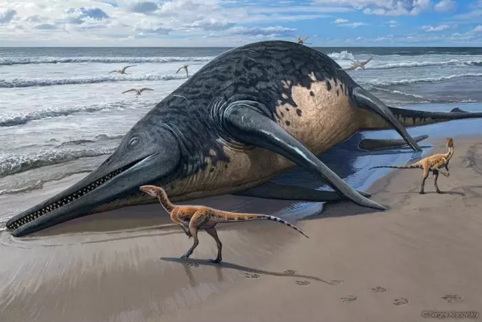 Una niña y su padre hallan en una playa el fósil de un gigantesco reptil marino