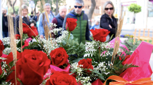 Aquest serà l'últim Sant Jordi amb roses locals per la falta de relleu generacional i el canvi climàtic