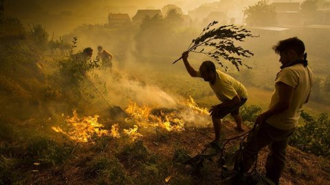 Un hombre intenta apagar el incendio de Soutomaior, en Pontevedra, por el que se ha decretado la "Situación 2"/EFE