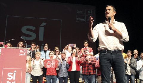 El precandidato a la Secretaría General del PSOE Pedro Sánchez. - EFE