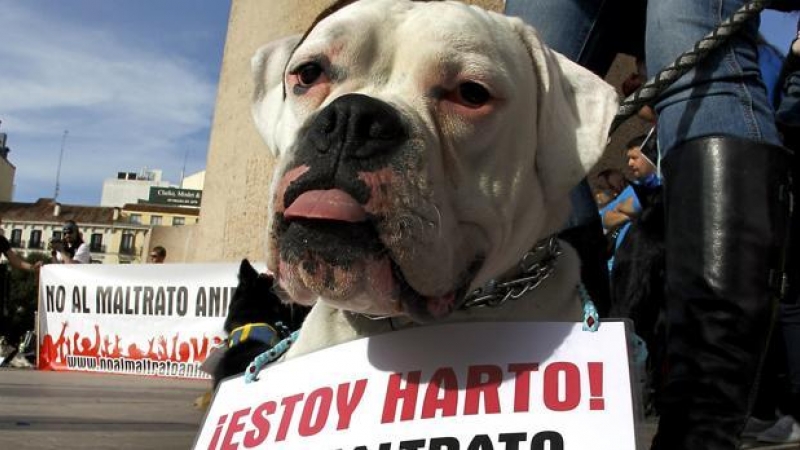 Imagen de archivo de una manifestación en contra del maltrato animal/EFE