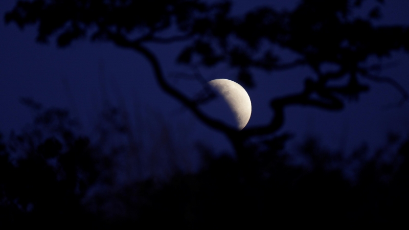 La luna durante un eclipse lunar parcial en Brasilia, Brasil, el 16 de julio de 2019. REUTERS / Ueslei Marcelino