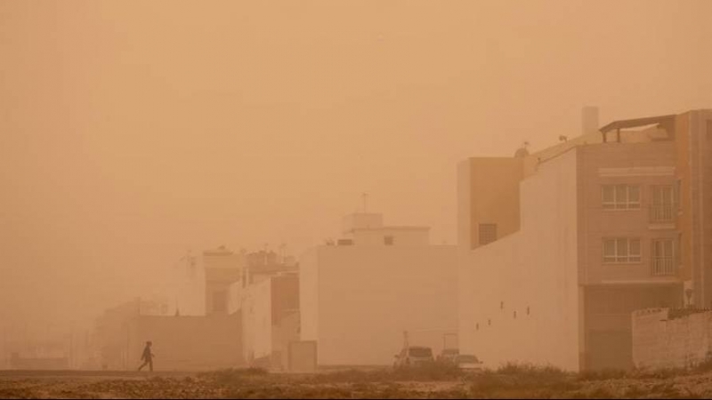 La Agencia Estatal de Meteorología (Aemet) prevé para hoy, lunes, calima y viento fuerte en las Canarias. EFE/ Carlos de Saá