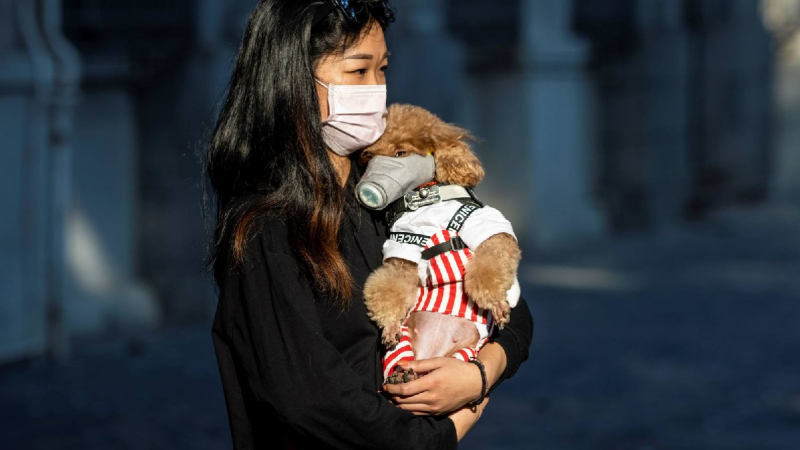Ciudadana asiática con su perro portando una mascarilla. / EFE