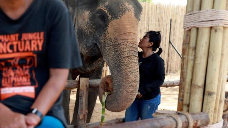 Los criadores de elefantes esperan a los turistas en el área turística vacía, debido al temor al coronavirus en Phuket, Tailandia. REUTERS / Soe Zeya Tun
