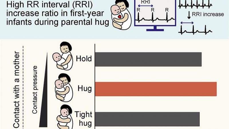 Los bebés se relajan más cuando el abrazo cuando le abrazan sus padres. / iScience