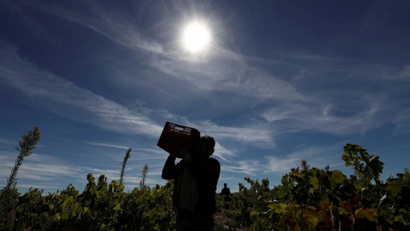 Un agricultor trabaja en un campo de Moradillo de Roa, Burgos. (Reuters/Sergio Pérez)