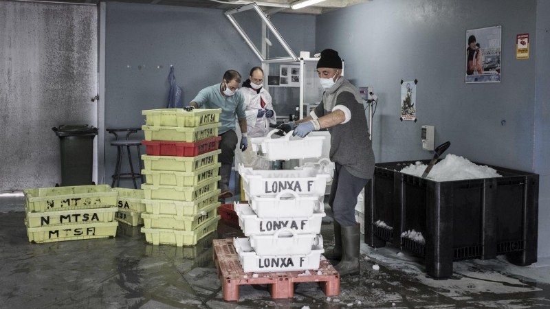 El subastador de la lonja de Fisterra (A Coruña) y dos patrones de barco preparan las cajas de pescado para su posterior venta en la subasta. Según el Boletín Oficial del Estado se repartirán 1,2 millones de mascarillas en el sector de la pesca, pero a dí