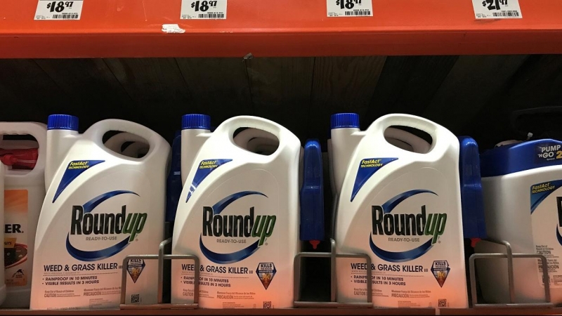 Envases de 'Roundup' en una tienda en California (EEUU). REUTERS/Mike Blake