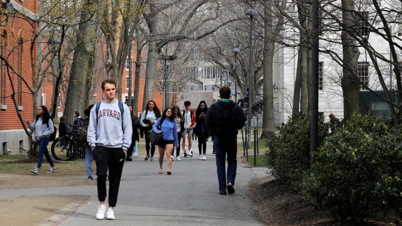 Estudiantes pasean en la Universidad de Harvard. REUTERS/Archivo